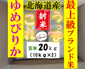 【送料無料】新米　ゆめぴりか　１等米　玄米20キロ　特A北海道米　令和6年産　農家直送 数量限定 