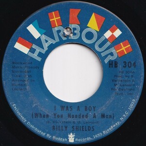 Billy Shields I Was A Boy / Moments From Now Tomorrow Harbour US HB 304 205748 ROCK POP ロック ポップ レコード 7インチ 45