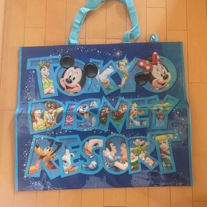 ★未使用★TokyoDisney resortディズニー ショッピングバッグ　袋