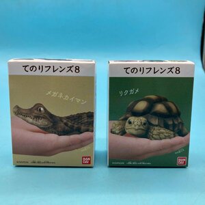 【A9933P015】てのりフレンズ8 2点セット リクガメ メガネカイマン 未開封品 食玩 フィギュア 爬虫類 BANDAI 陸ガメ