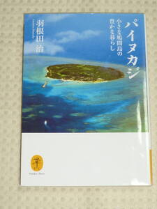 「パイヌカジ　小さな鳩間島のゆたかな暮らし」 羽根田 治　ヤマケイ文庫