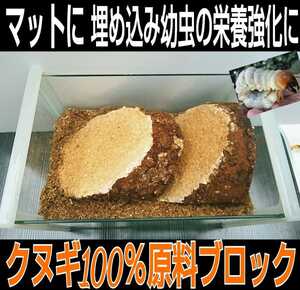 カブトムシ幼虫の栄養強化に！椎茸菌床ブロック【3個】クヌギ100％ ブロックのまま発酵マットに埋め込むだけで幼虫がモリモリ食べます！