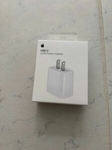 Apple 純正　USB TYPE-Cプラグ