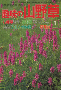 ■趣味の山野草　1987.1月号 No.78〔特集：八幡平／雪割草／スイレンの仲間〕 