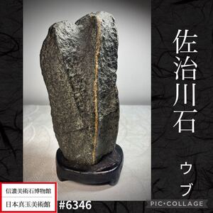 【信濃美術石博物館】水石 盆栽 佐治川石 ウブ 横7×高15.5×奥行6(cm) 840g 骨董盆石古美術中国古玩 6346