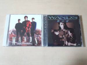 WANDS CD2枚セット★時の扉 ワンズ