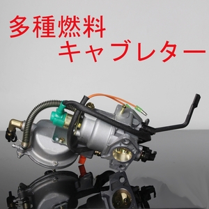 ☆　多種燃料キャブレーター LPG188 ☆彡