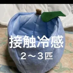 モモンガ　果物ポーチ　2〜3匹用　青色　夏用　接触冷感使用