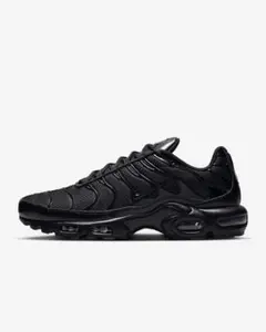 Nike Air Max Plus トリプルブラック 29cm