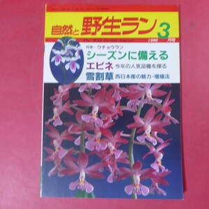 YN3-250109☆自然と野生ラン 1988年3月号　ウチョウラン　芽出しのタイミング 造形のたのしみ方　エビネ　雪割草