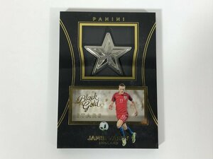 PANINI SELECT BLACK GOLD No.S-JVA JAMIE VARDY ジェイミー・ヴァーディ ENGLAND STARS FIFA365 ユーズド