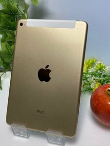 ジャンク ドコモ iPad mini 4 Wi-Fi + Cellular 32GB 型番:A1550 ※液晶不良 部品 Y204