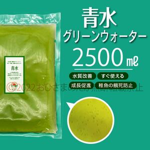 特濃縮【青水　グリーンウォーター増量中　2500ml】メダカ　めだか　金魚　熱帯魚　ミジンコ　ゾウリムシ　針子にどうぞ　スポイト付き