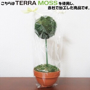 モスボール 大 プランターボール 1個 TERRA MOSS テラモス 空気清浄 吸音 調湿 耐火 消臭 インテリア 苔玉 送料無料