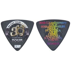 ★ESP PA-LT10-30th-L