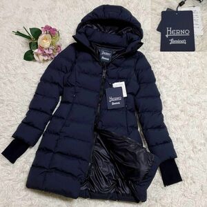 未使用 タグ付 L ヘルノ AMINAR ダウンコート 紺 フード ゴアテックス HERNO GORE-TEX INFINIUM WINDSTOPPER ネイビー 大きいサイズ