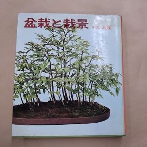 即決/盆栽と栽景 川本敏雄 東都書房/昭和44年10月30日発行