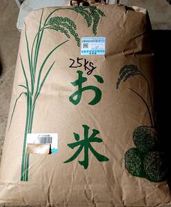 2023年産　コシヒカリ玄米約25㎏　1等米　農家のこだわり米　食味検査有り 80以上　精米・送料無料　（無洗米も可能）1