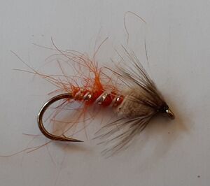 Sedge pupa orange 12個　