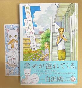 サイン本　【　特別じゃない日 猫とご近所さん　】　稲空穂　描きおろし子猫しおり＋書店ブックカバー付