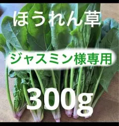 ほうれん草　300g 無農薬