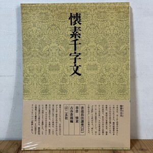 シヲ☆1219s[書道技法講座 27 懐素千字文 草書 懐素] 二玄社 中国書道