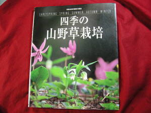 四季の山野草栽培 別冊NHK趣味の園芸 原田 親編集 日本放送出版会