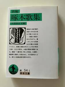 久保田正文編『新編　啄木歌集』（岩波文庫、2017年、26刷）。カバー付。440頁。