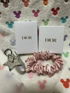 Dior ディオール ストラップ　シュシュ　セット　キーホルダー　未使用