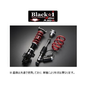 RS★R ブラックi アクティブ (推奨) 車高調 レクサス GS 300h AWL10 後期 H27/11～