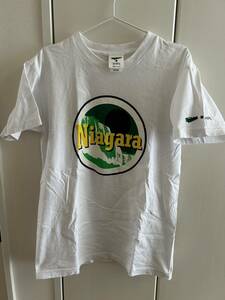 レア NIAGARAk×SHIPS Tシャツ 半袖 サイズM ボディは米国製 ナイアガラムーン柄 少し汚れ有り 綿100％ 