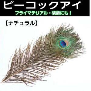 ピーコックアイ　Lサイズ(4本)　ナチュラル　フライマテリアル　装飾にも！　羽根　フェザー　孔雀の羽