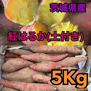 新物茨城県産★紅はるか（土付き）約5kg ※大量に欲しい方はご相談ください