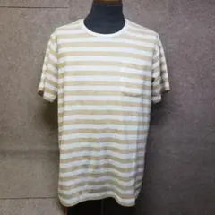 TAYLOR STITCH ボーダー　Tシャツ　パイル地　42 u6045e