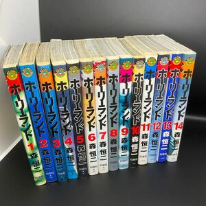 1円スタート　漫画まとめ ホーリーランド　1-14巻