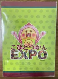 こびとづかんEXPO  下敷き　エキスポ限定