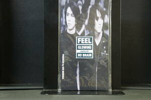 GLOWING FEEL 新品CDS Cs12 送料無料