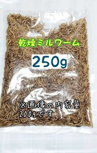 乾燥ミルワーム250g 高淡白 小動物 爬虫類 両生類 ハムスター ハリネズミ