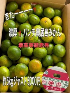 きたーーー‼️最高等級赤秀‼️濃厚パンチ興居島みかん約5kgジャスト3000円9