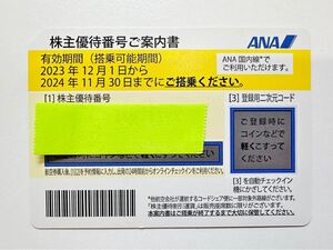 ◇ ANA 株主優待券　全日空 株主割引券 1枚 お急ぎ 番号通知 コード通知可能 2024年11月30日 国内 航空券◇