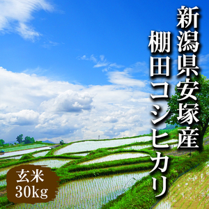 【令和６年産新米】新潟県上越産棚田米コシヒカリ 玄米30kg（精米無料）.