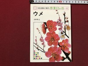 ｍ〇〇　NHK趣味の園芸　作業12か月　ウメ　大坪孝之著　平成10年第57刷発行　　　　/I90