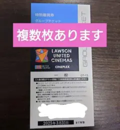 ユナイテッドシネマ映画鑑賞券