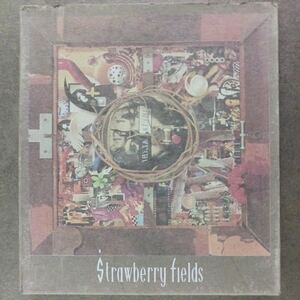 CD_18】ストロベリーフィールズ Strawberry fields/ALIBI 紙ケース付き