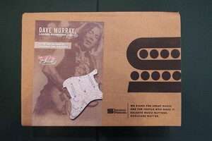 Seymour Duncan Dave Murray Loaded Pickguard セイモアダンカン IRON MAIDEN デイブ・マーレイ ピックガード パールロイド ピックアップ