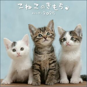 こねこのきもちカレンダー2025（月めくり・壁掛け） ([カレンダー])