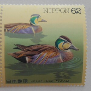 水辺の鳥シリーズ第8集　トモエガモ　未使用62円切手