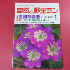 YN4-241219☆自然と野生ラン 2003年1月号　※ 雪割草 フユノハナワラ カンアオイ アツモリソウ セッコク ※ 園芸JAPAN