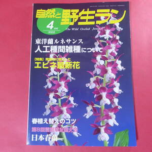 YN4-241219☆自然と野生ラン 2003年4月号　※ エビネ 春蘭 雪割草 カンアオイ ※ 園芸JAPAN