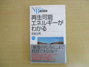 【04030301】再生可能エネルギーがわかる■1版1刷■西脇文男